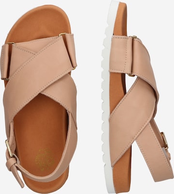 Apple of Eden Sandal in Beige