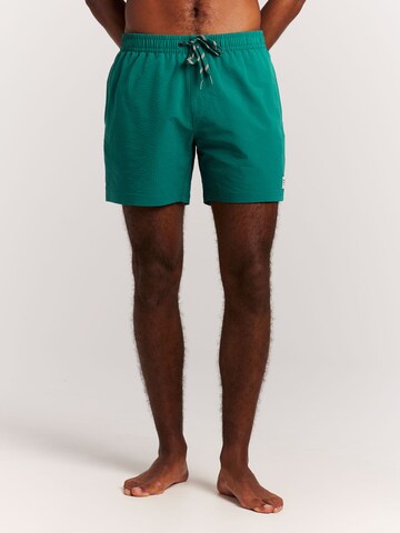 PROTEST Board Shorts 'PRTAgden' in Green: front