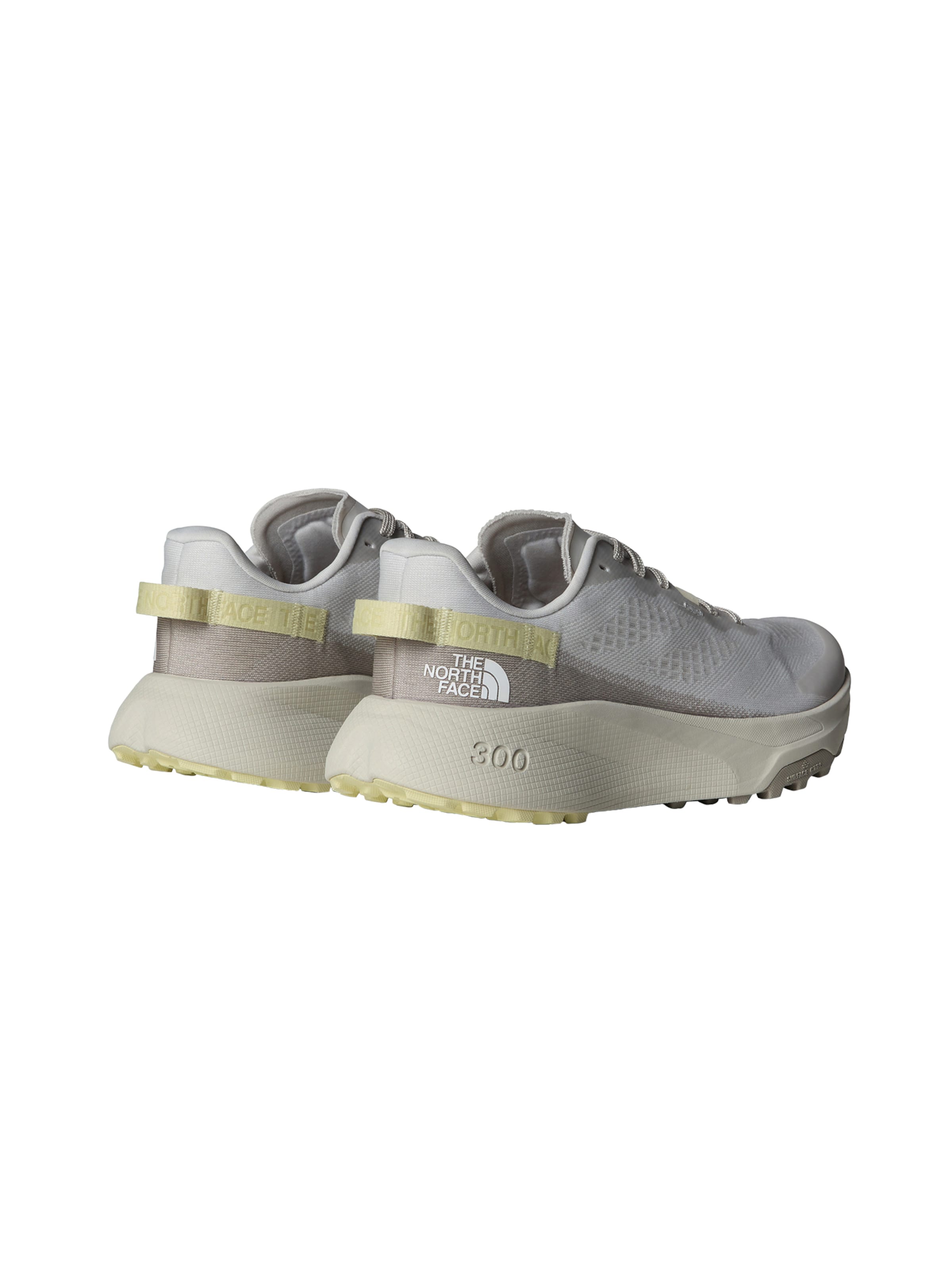 THE NORTH FACE Σνίκερ χαμηλό 'Altamesa 300' σε γκρι