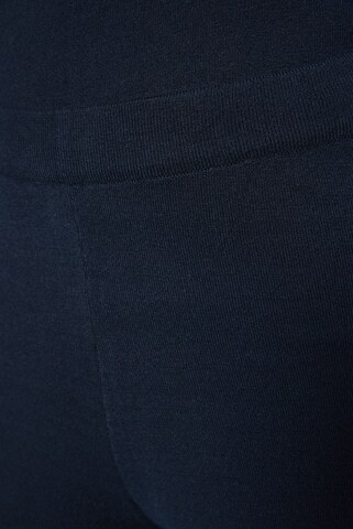 SENSES.THE LABEL Regular Pants in Blue