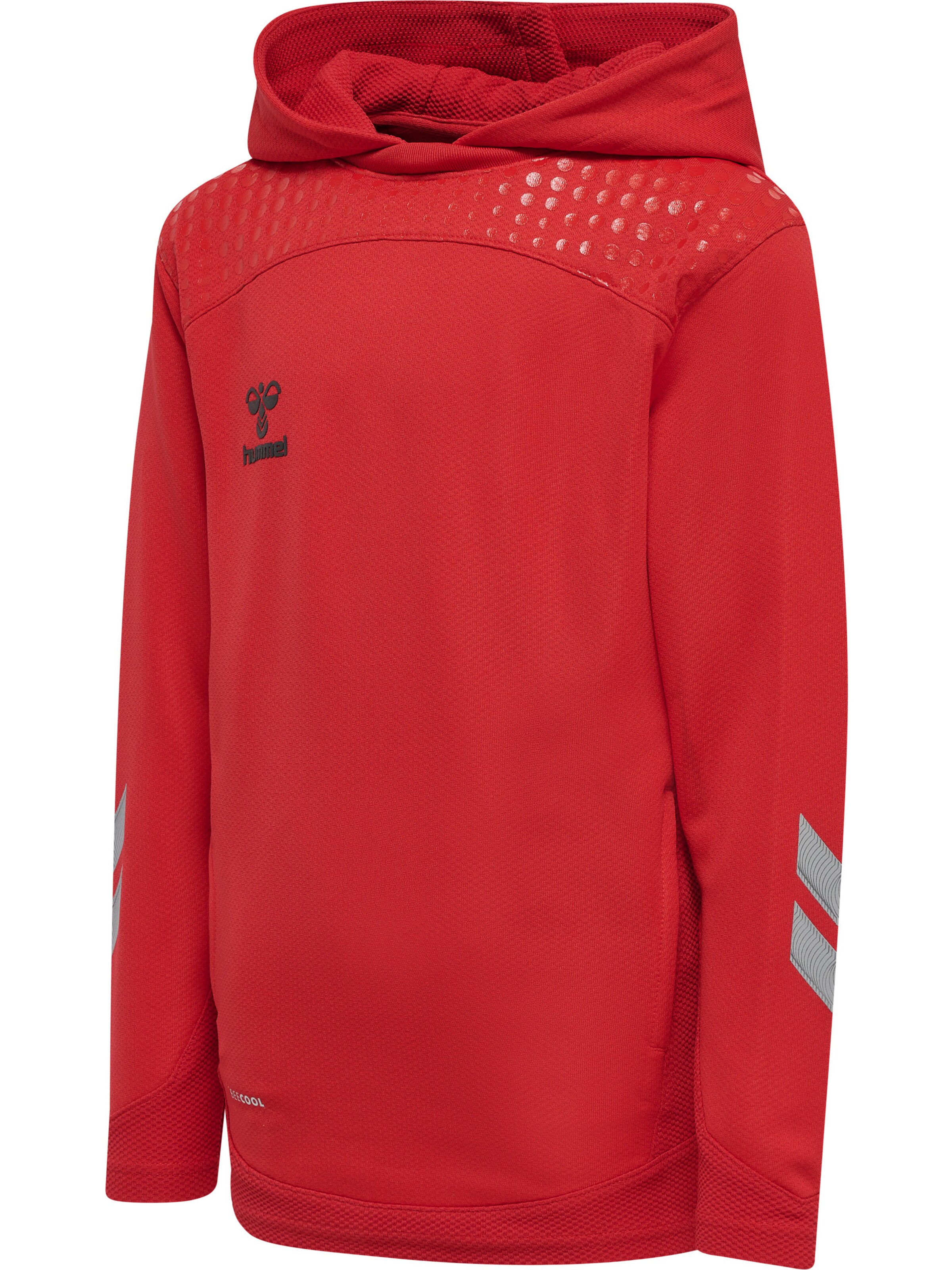 Hummel Athletic Sweatshirt 'Lead' in Red