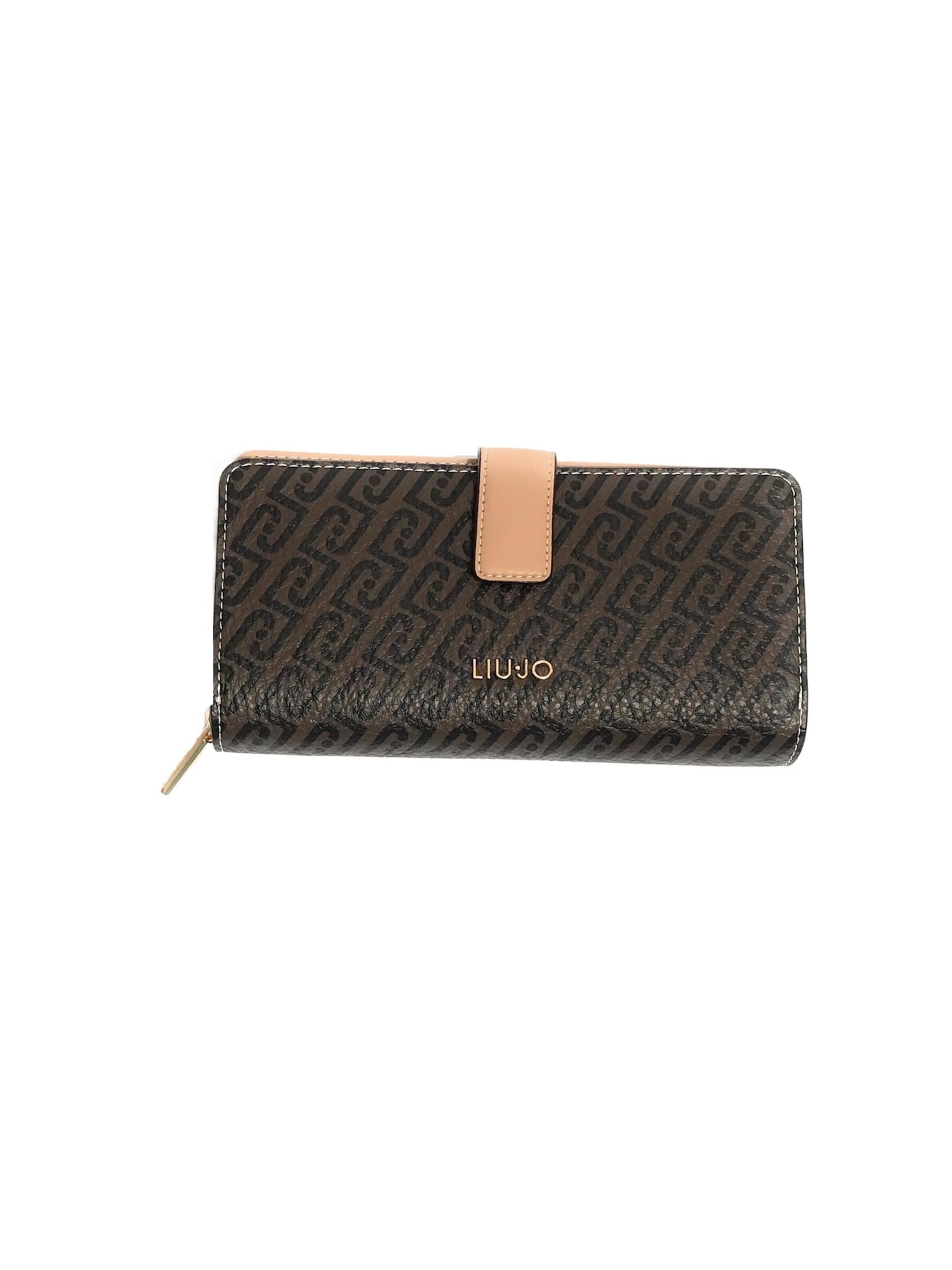Liu Jo Wallet 'AA6201' in Brown: front