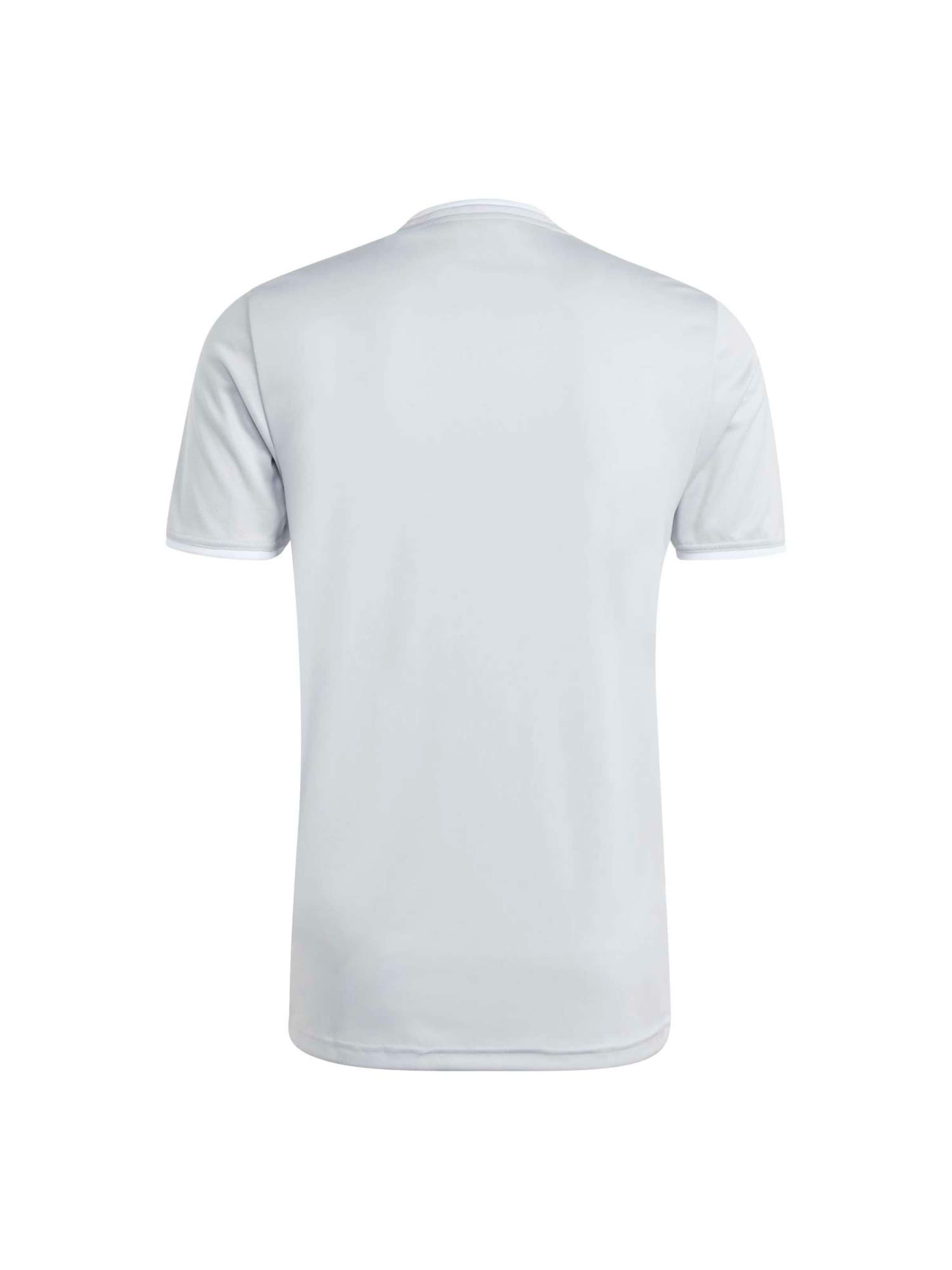 ADIDAS PERFORMANCE Funkcionalna majica 'ENT26' | siva barva