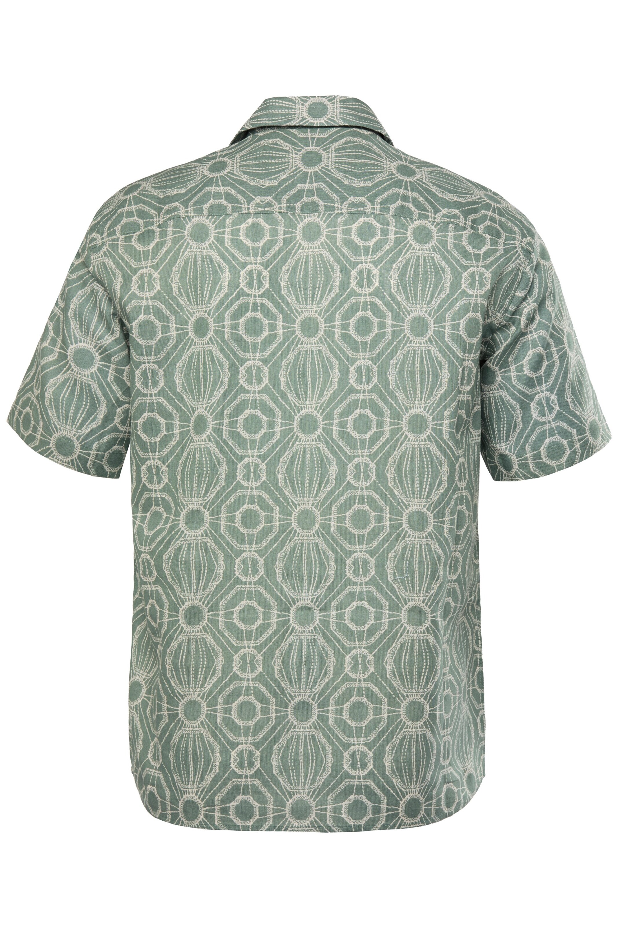 Men Plus Regular Fit Hemd in Grün