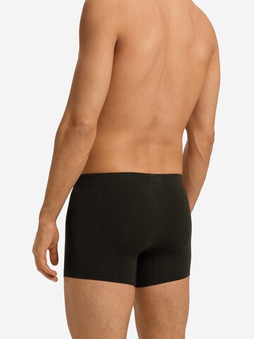 Hanro Boxershorts in Zwart
