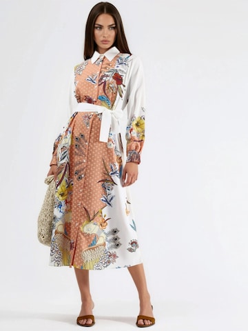MSN Collection Dress 'Maxi' in Mixed colors: front