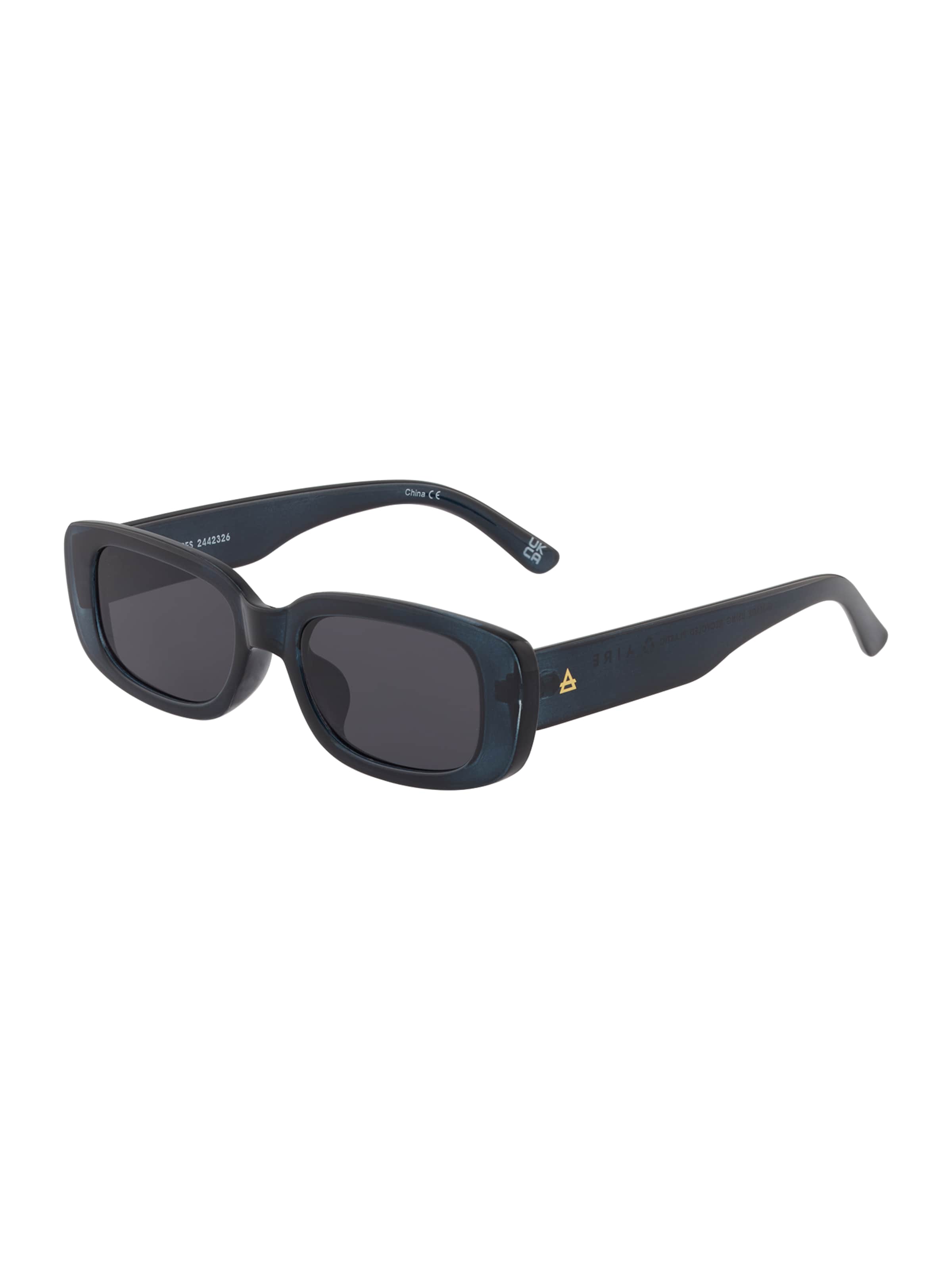 Aire Sunglasses 'CERES' in Blue: front