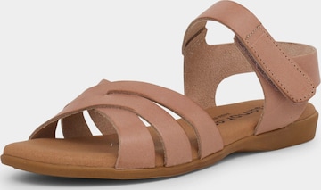 Sandalo di Pisamonas in beige: frontale