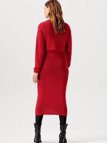 Noppies Dress 'SESSER' in Red