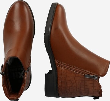 Xti Stiefelette in Braun