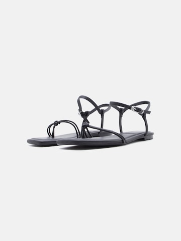 Calvin Klein - Sandalias de dedo en negro