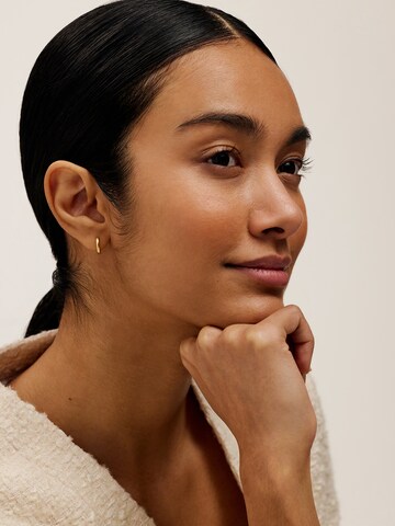 Ted Baker Earrings in Gold