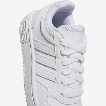 ADIDAS ORIGINALS Sneakers 'Hoops 3.0' in White