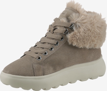 GEOX Stiefelette in Beige: Vorderseite