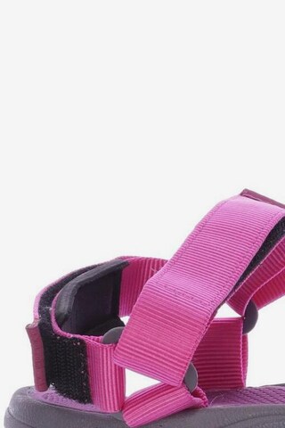THE NORTH FACE Sandals & High-Heeled Sandals in 40,5 in Pink