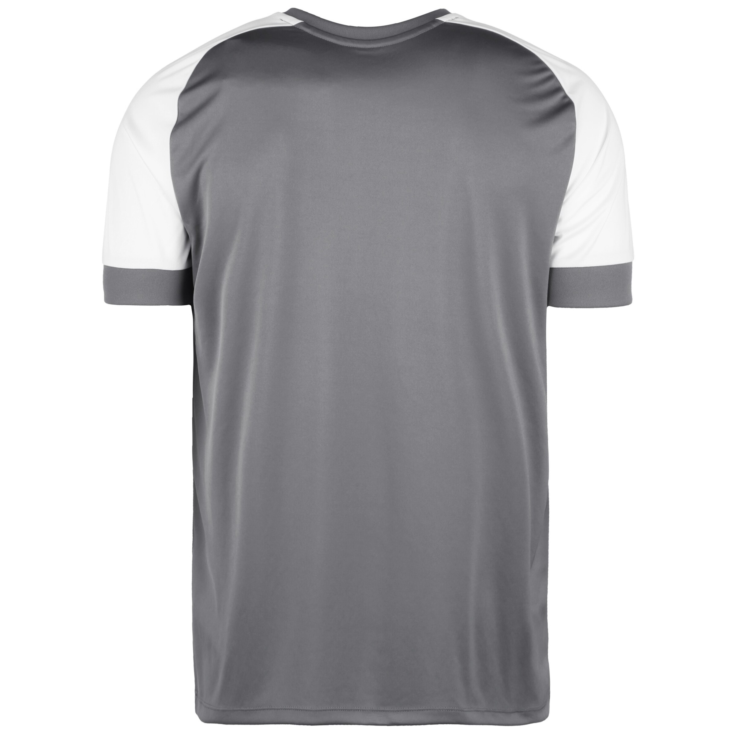 JAKO Jersey in Grey