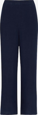 Vilebrequin Hose in Blau: Vorderseite
