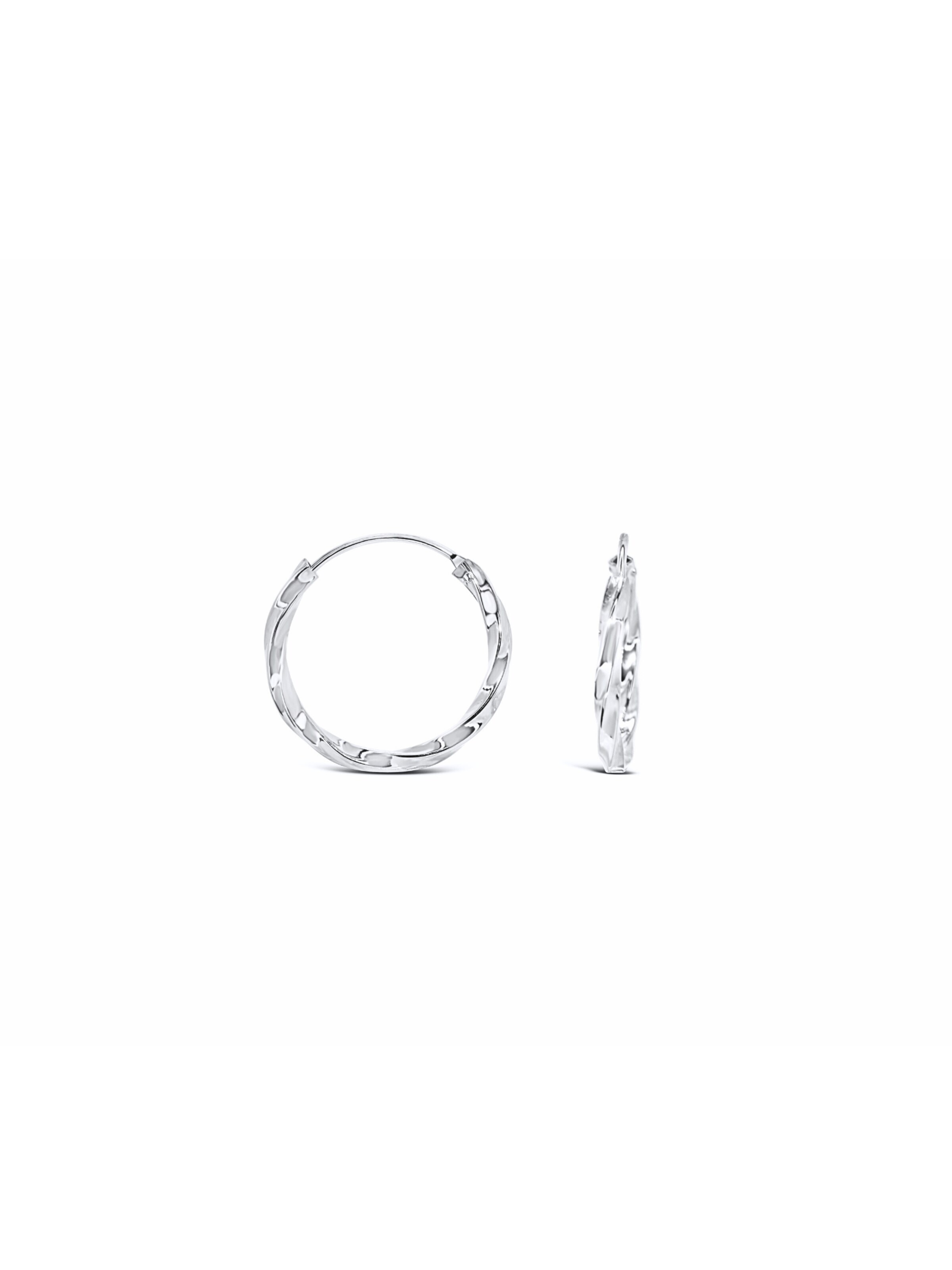 ARS-ARGENTI Earrings in Silver