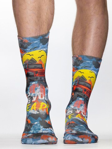 Wigglesteps Sokken 'Off Road II' in Gemengde kleuren: voorkant