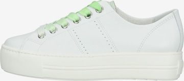 Sneaker bassa di Paul Green in bianco