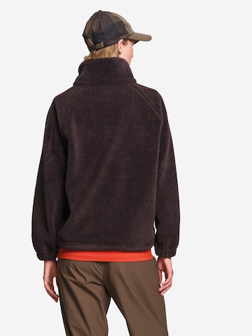 AIGLE Sweater in Brown: back
