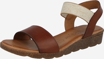 COSMOS COMFORT Strap sandal in Brown: front