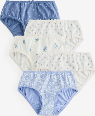Next Underpants in Blue: front