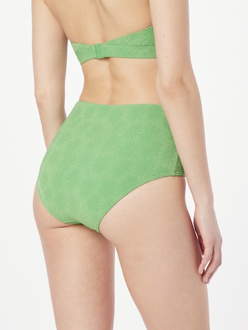 Pantaloncini per bikini di LingaDore in verde