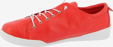 SHEEGO Sneakers in Red: front