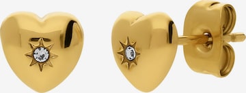 Lucardi Earrings in Gold: front
