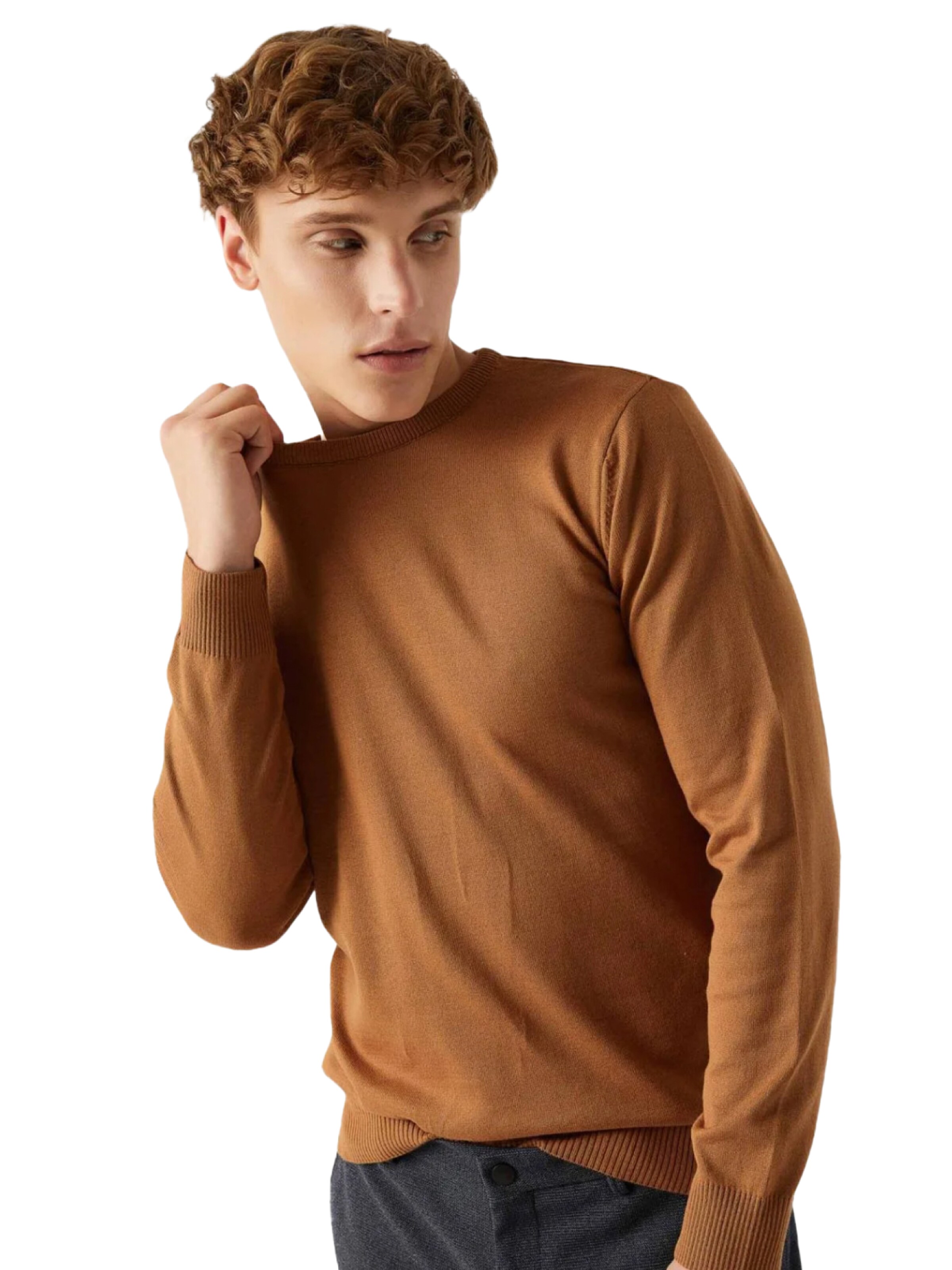 D’S Damat Trui in Bruin