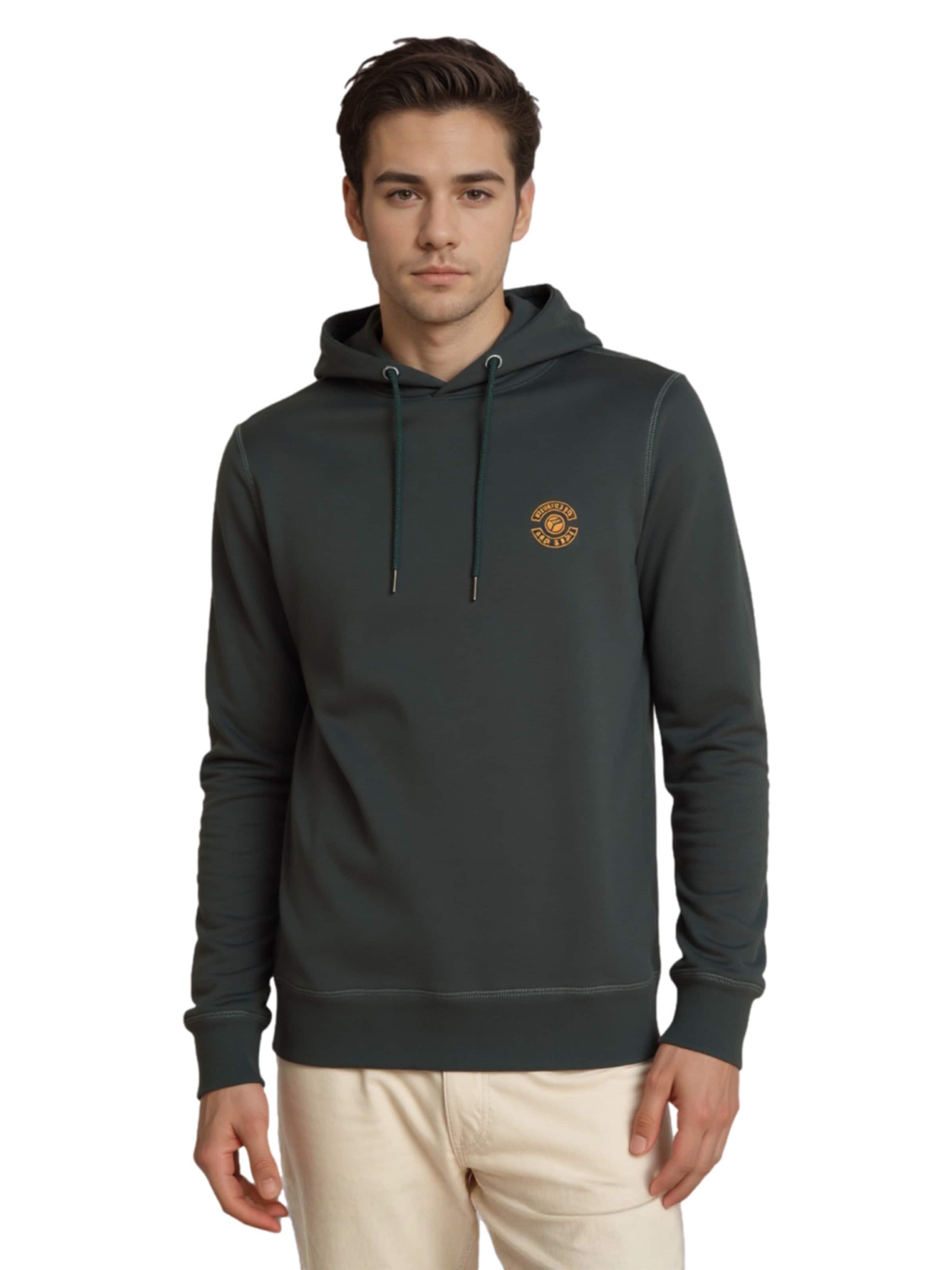 Petrol Industries Sweatshirt i grå: forside