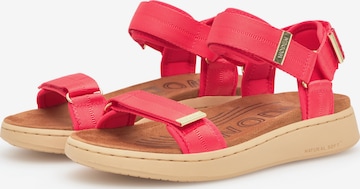 Sandales 'Line' WODEN en rose : devant