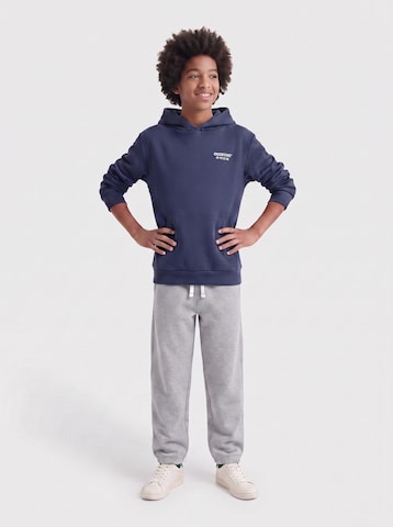 Only & Sons Junior Barrel Trousers 'OSJCeres' in Grey