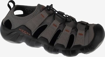 Sandalo da trekking 'Hyperport H2' di KEEN in grigio: frontale