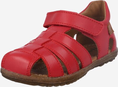 NATURINO Sapatos abertos 'See' em avermelhado, Vista do produto