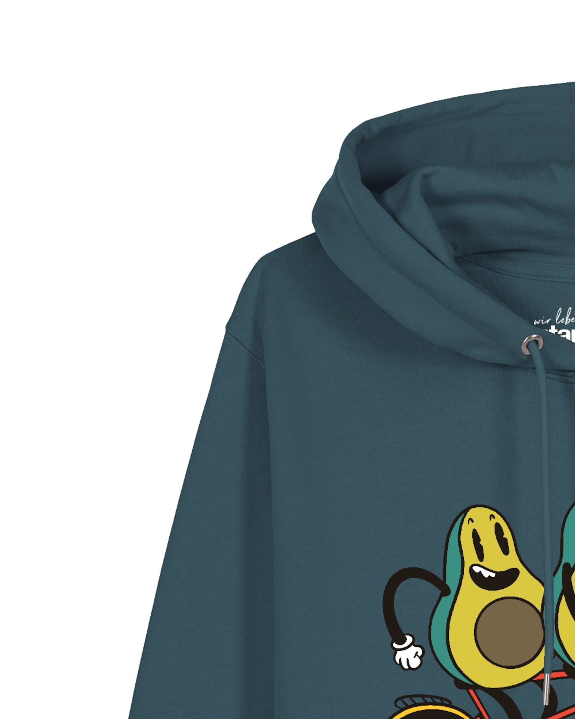 Pull-over Watapparel en bleu