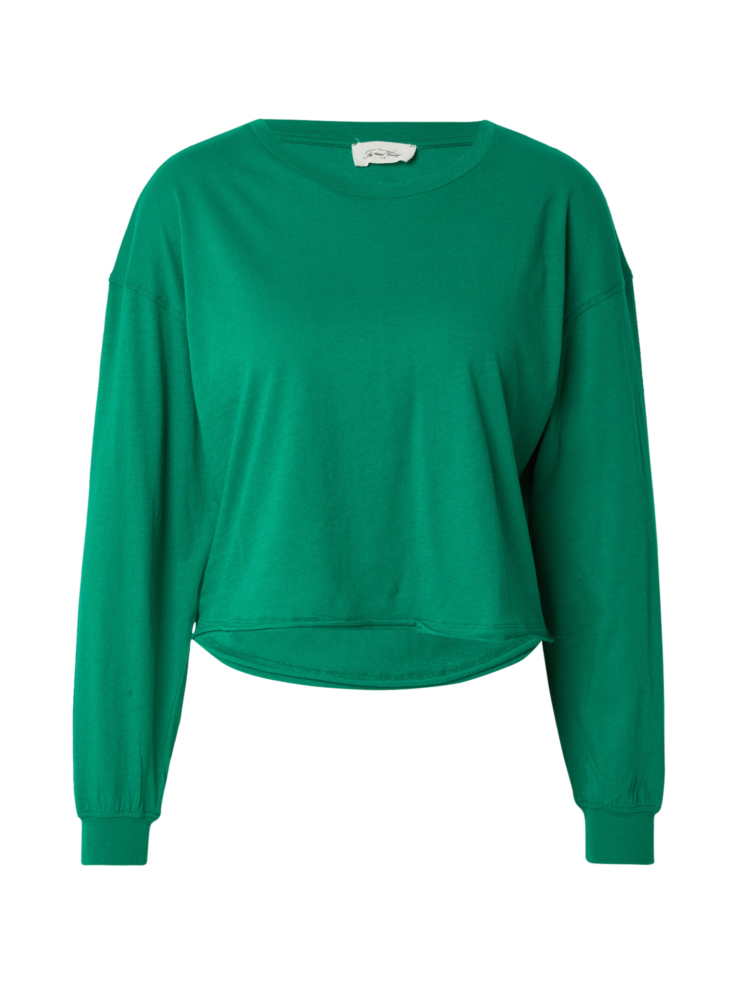 AMERICAN VINTAGE Tričko 'APOLY' - Zelená: predná strana