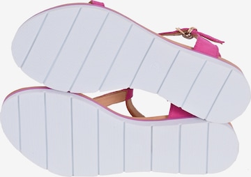 Apple of Eden Strap Sandals ' DANA ' in Pink