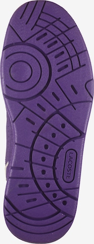 Baskets basses LACOSTE en violet