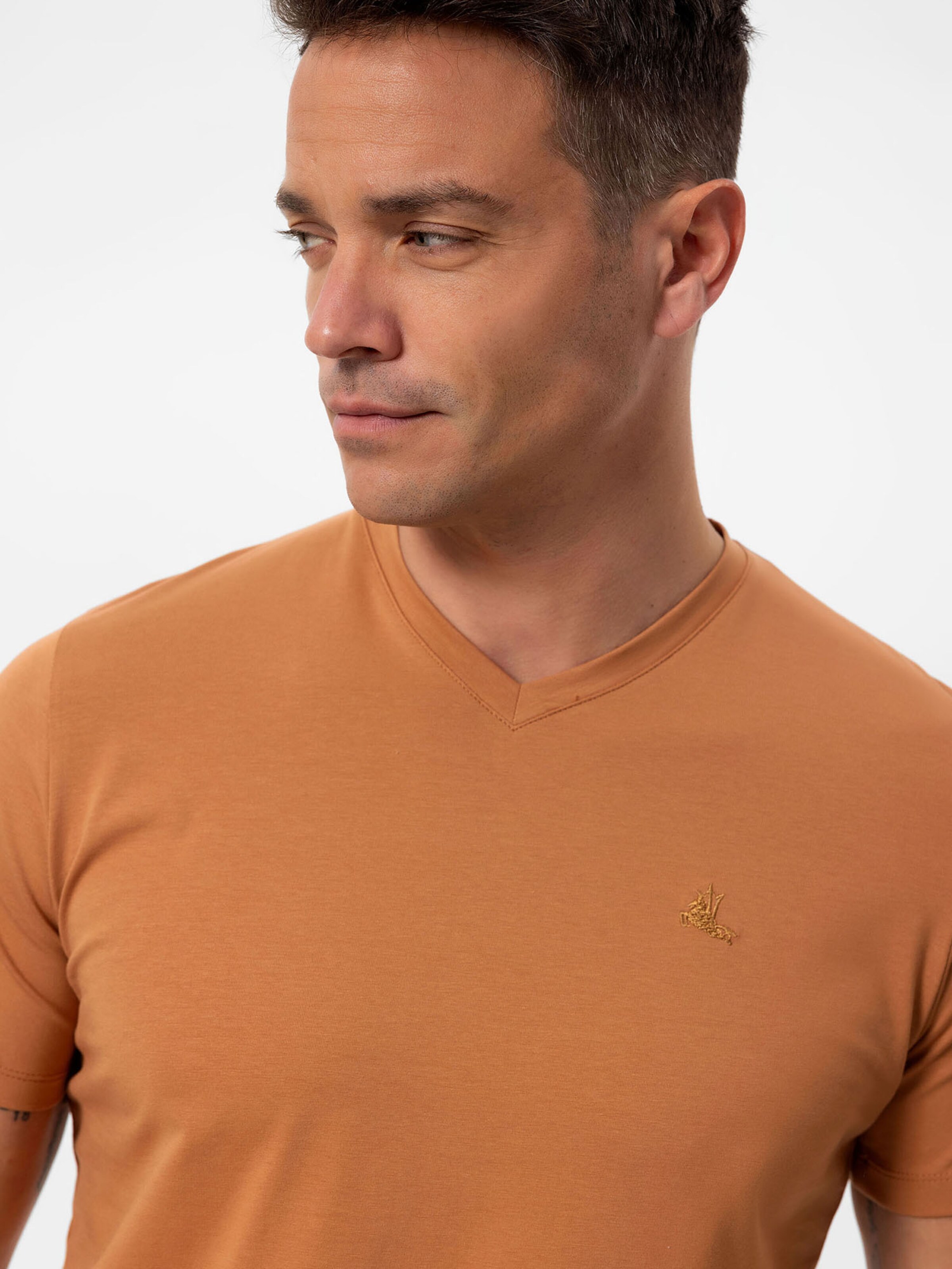 Daniel Hills Shirt in Brown