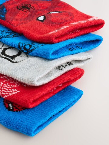 Chaussettes Next en mélange de couleurs