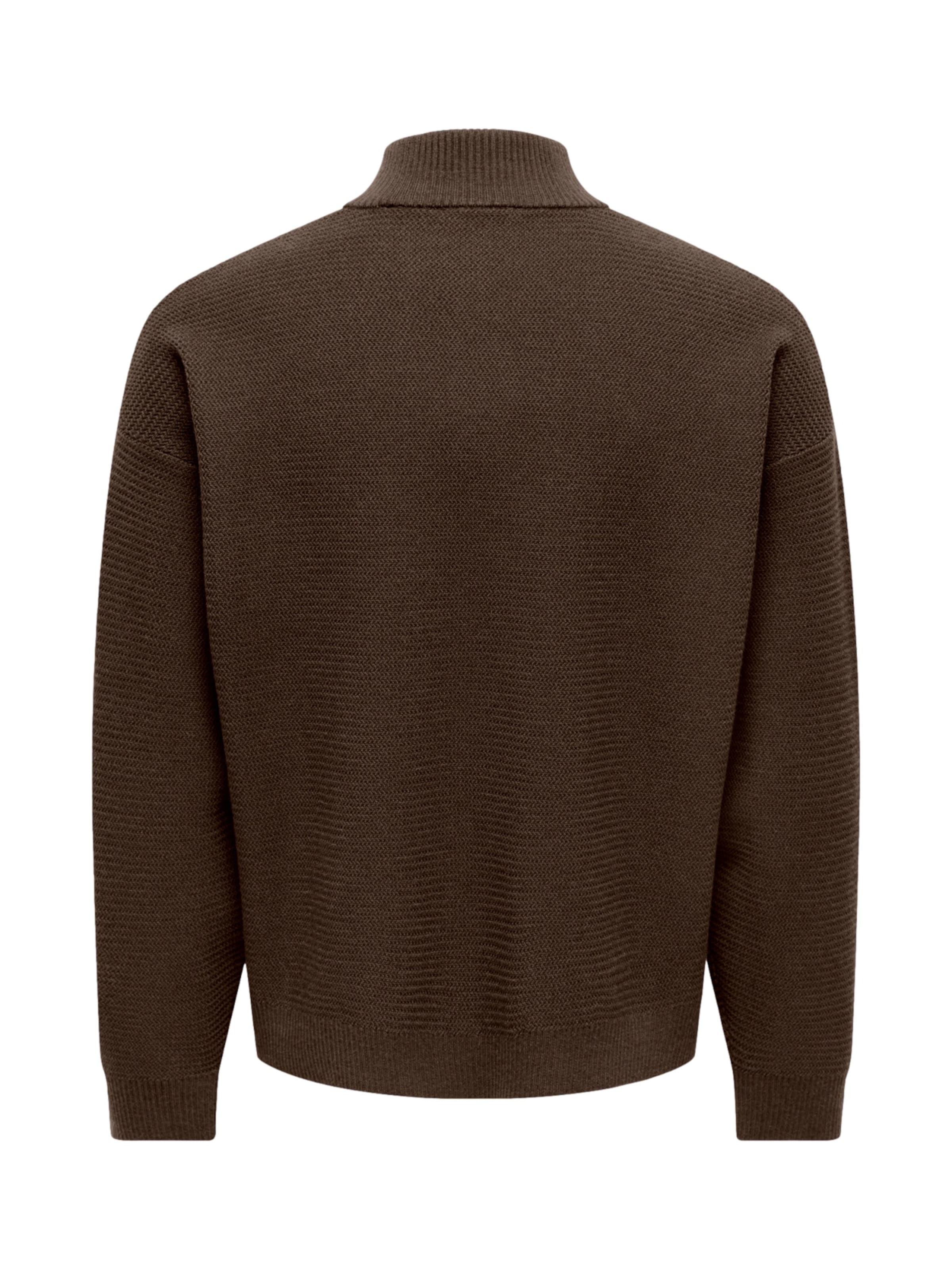 Only & Sons Pullover 'ONSCARTER' in Braun