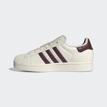 ADIDAS ORIGINALS Låg sneaker 'Superstar II' i vit