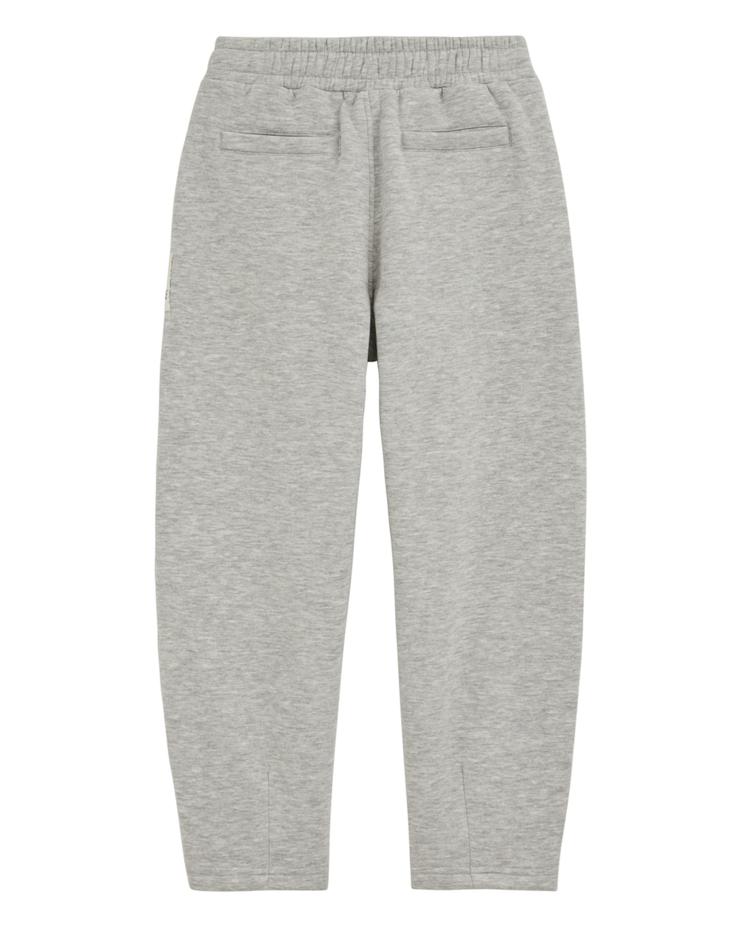 Barrel Pantalon WE Fashion en gris