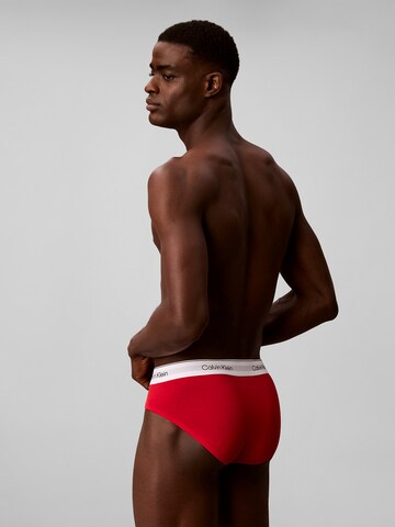 Calvin Klein Underwear Slip in Gemengde kleuren