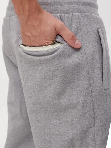 SANVT Regular Pants 'The Perfect Sweatpants' in Grey