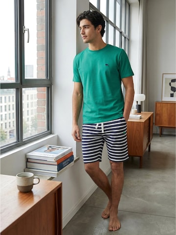 Phil & Co. Berlin Pyjama kort 'Phil & Co. Berlin Men's Shorty Set – Cotton Pyjamas with Fashionable Print & Colour Gradient, Spring/Summer, S–XXL' in Groen: voorkant