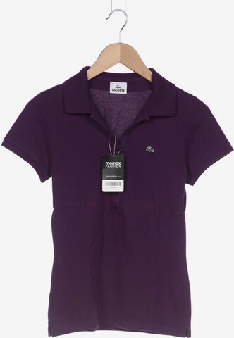 LACOSTE Top & Shirt in M in Purple: front