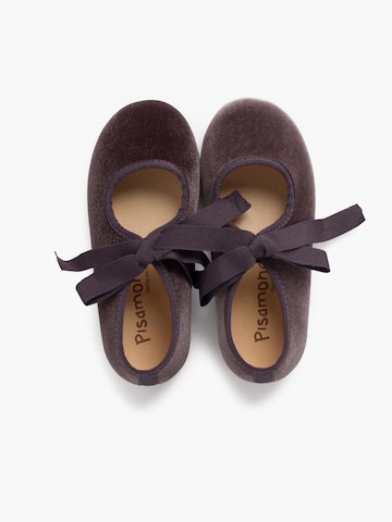 Pisamonas Flats in Grey